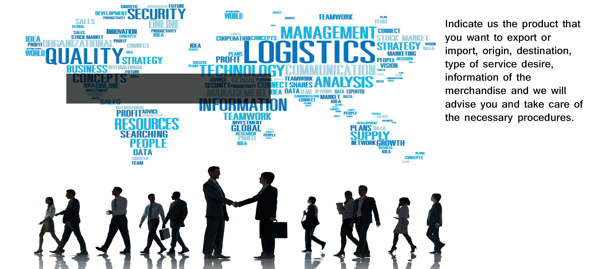 Logistics Advisory